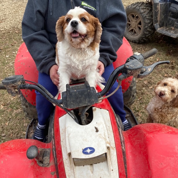 (0-24W; XS-4X) 25% Off ALL Bundles - Picture 10 of 13